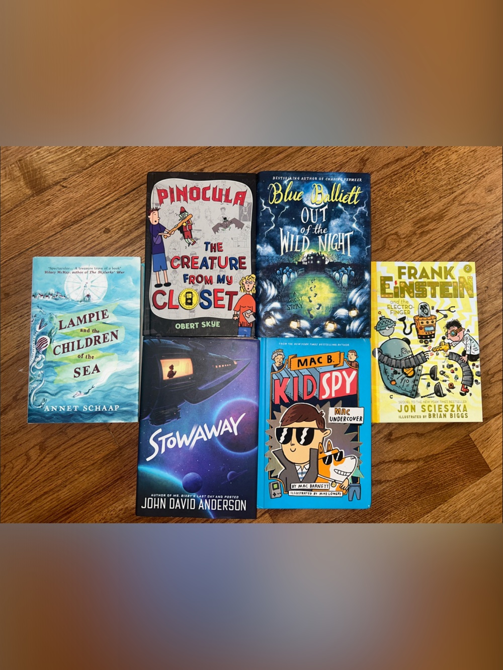 Young Adult Middle School Age Big Hard Cover Book Bundle NEW